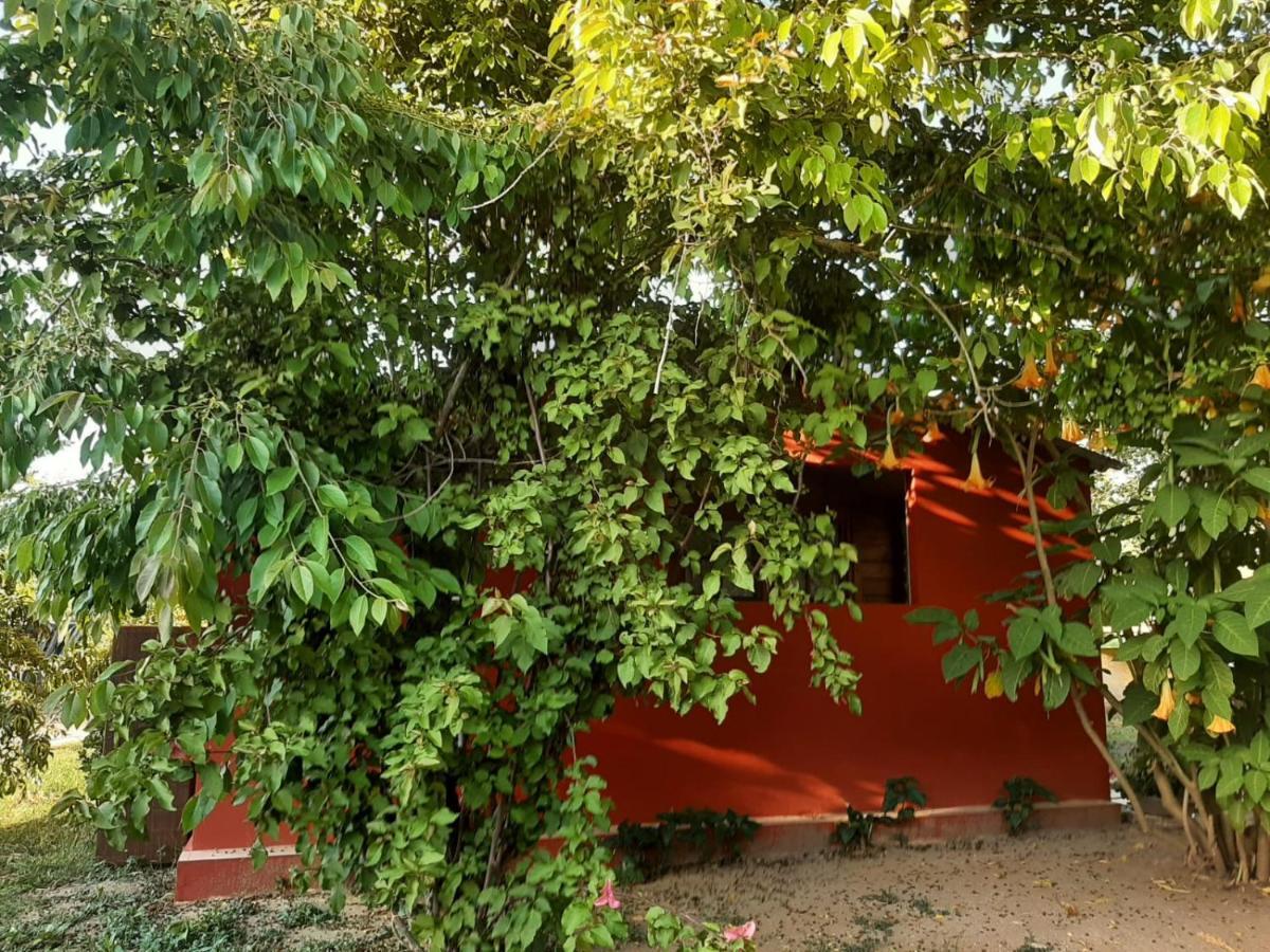 Casa Di Campagna Dal Pozzo Сорсо Екстериор снимка